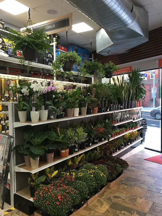 Do it Best Hardware of Clinton Hill Benjamin Moore paint store 7