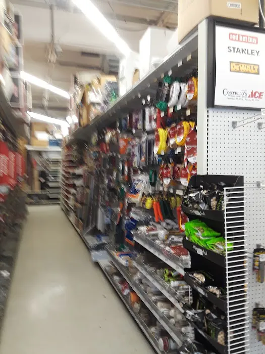 Costello's Ace Hardware of Nesconset 3