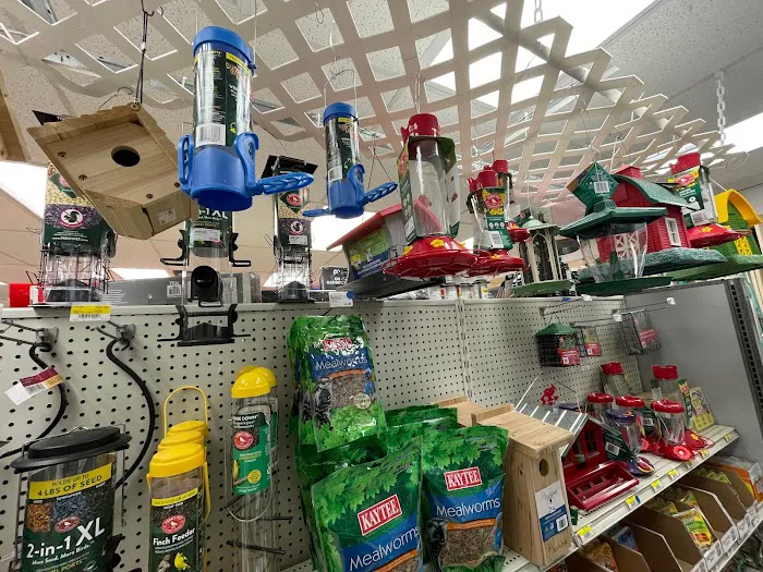 Orlando Family Hardware Store 2