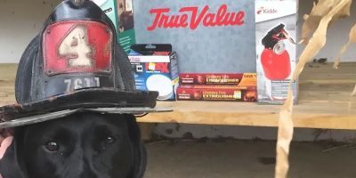 Jefferson True Value