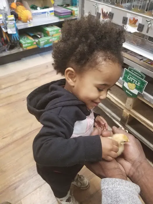 Young's General Store & Ace Hardware 1