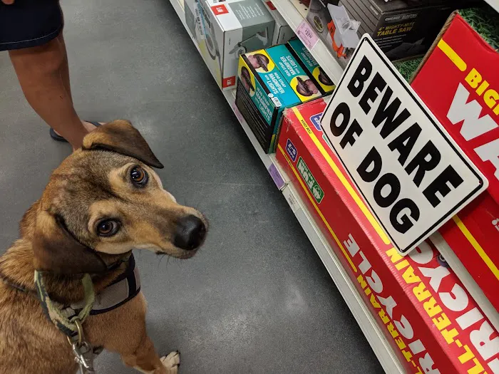 Harbor Freight 6
