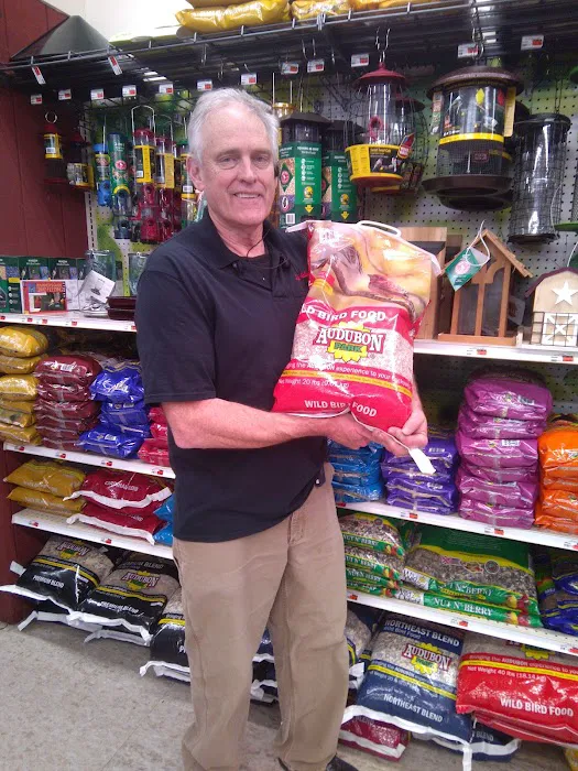 Ace Hardware 6
