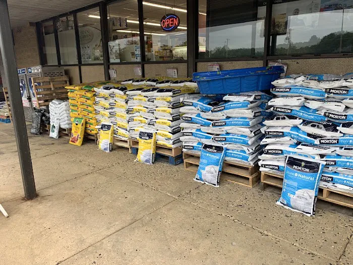 Ace Hardware 1