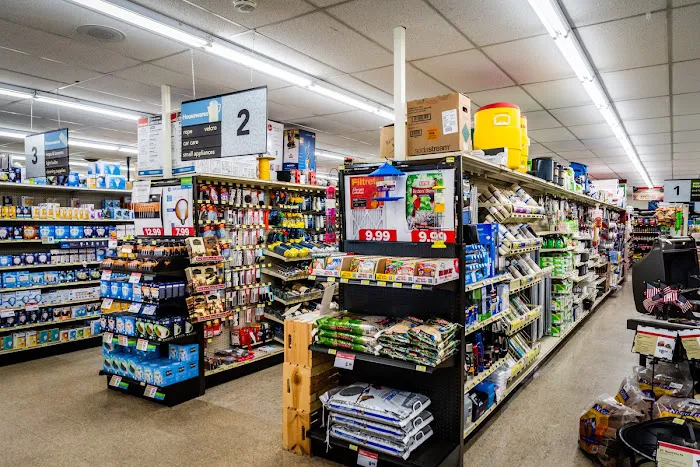 Ace Hardware 5