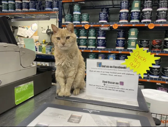 Aubuchon Ace Hardware 0