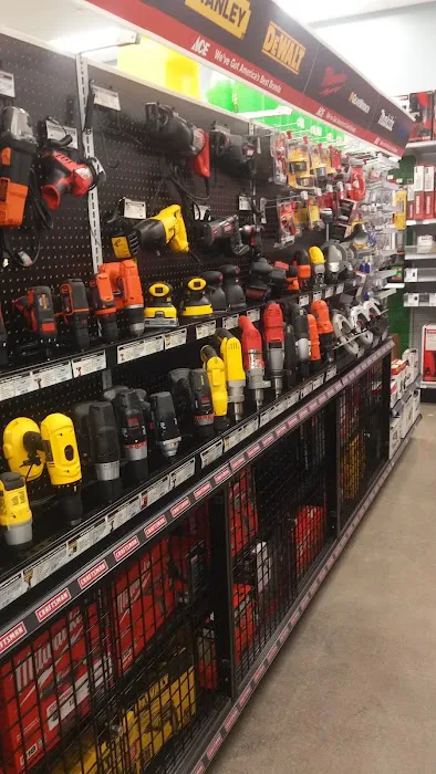 Sholes Ace Hardware & Supply 5