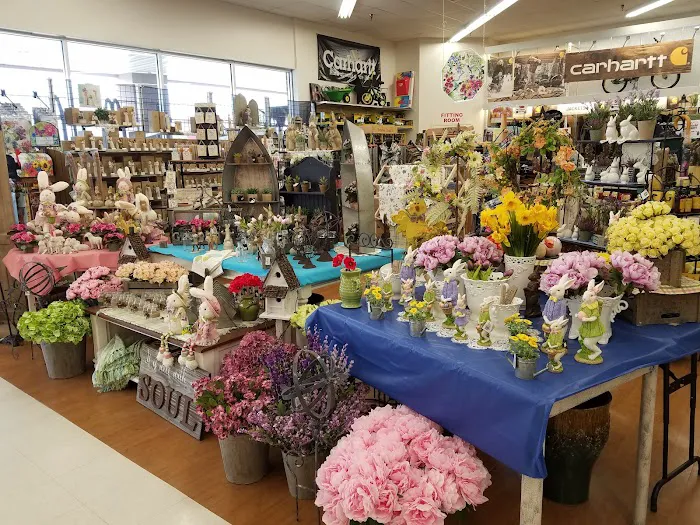 ACE HARDWARE 8
