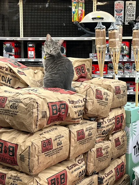 Fisher's Ace Hardware 3