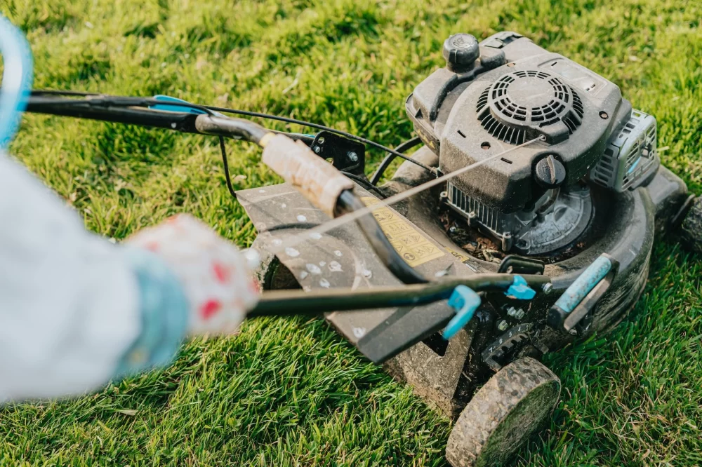 Guide to Choosing the Perfect Lawnmower for Your Yard: Expert Tips and Insights