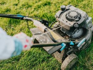 Guide to Choosing the Perfect Lawnmower for Your Yard: Expert Tips and Insights
